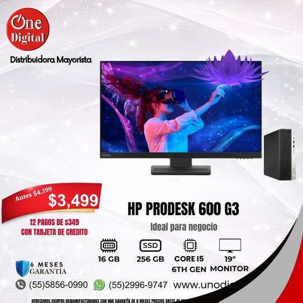 onedigital (11)
